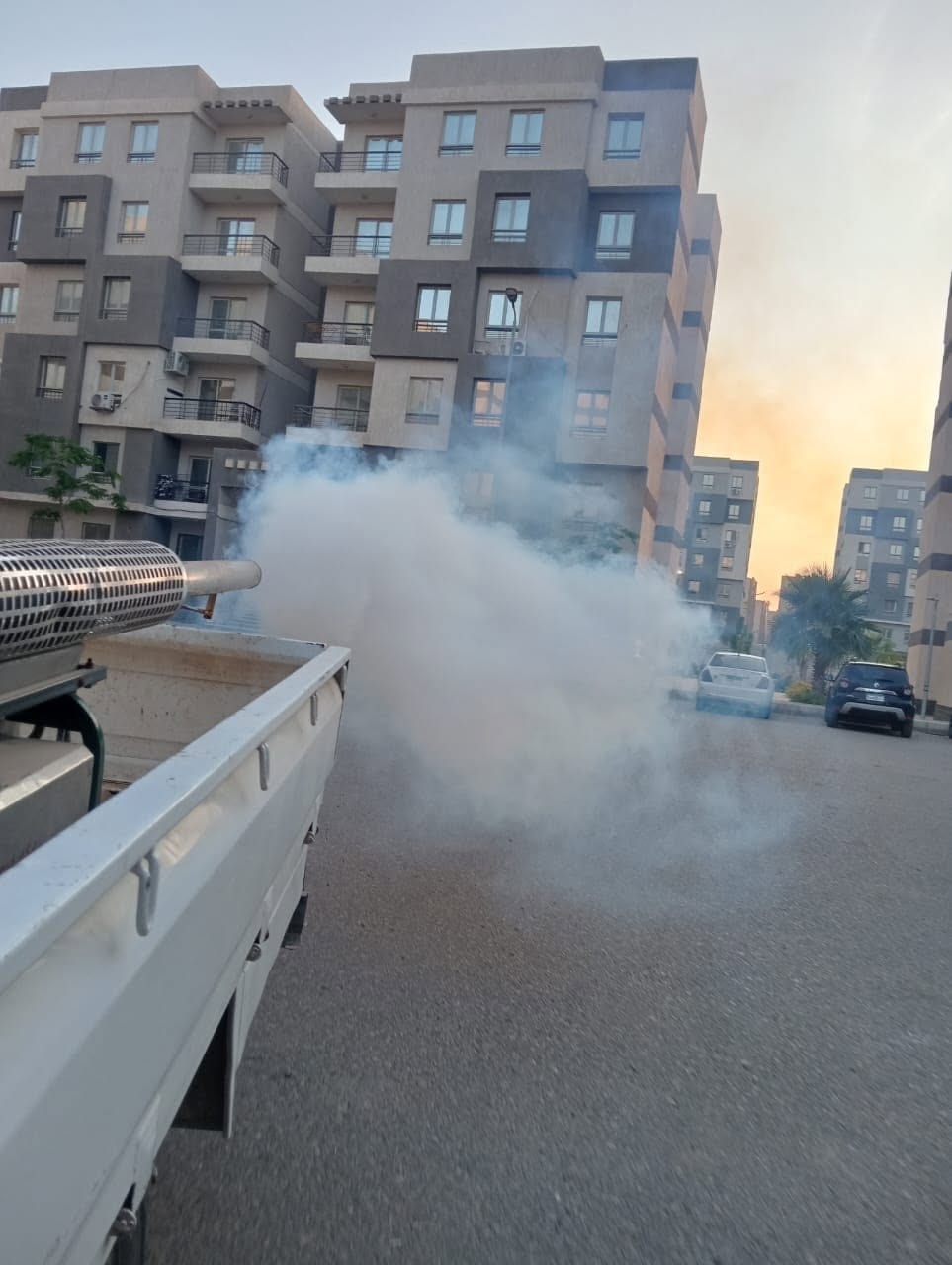 حملة رش لمكافحة الحشرات والقوارض بجدول أسبوعي لأحياء العبور الجديدة — صورة 4