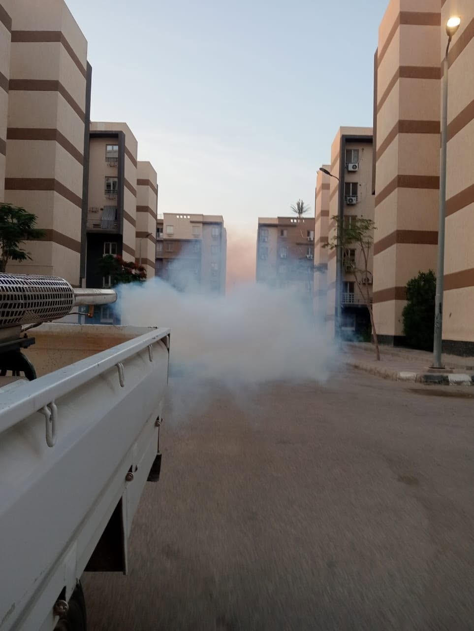 حملة رش لمكافحة الحشرات والقوارض بجدول أسبوعي لأحياء العبور الجديدة — صورة 3