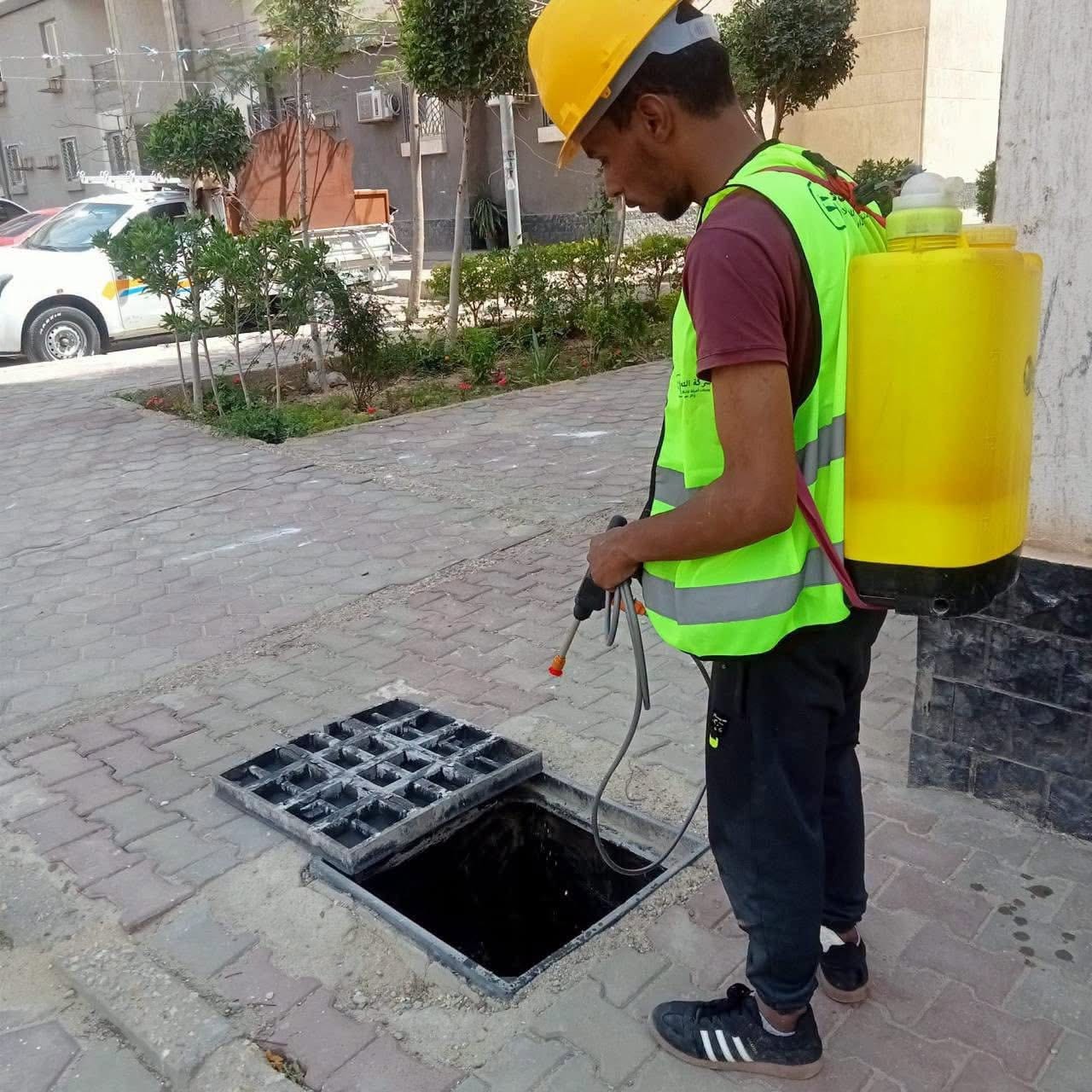 حملة رش لمكافحة الحشرات والقوارض بجدول أسبوعي لأحياء العبور الجديدة — صورة 5