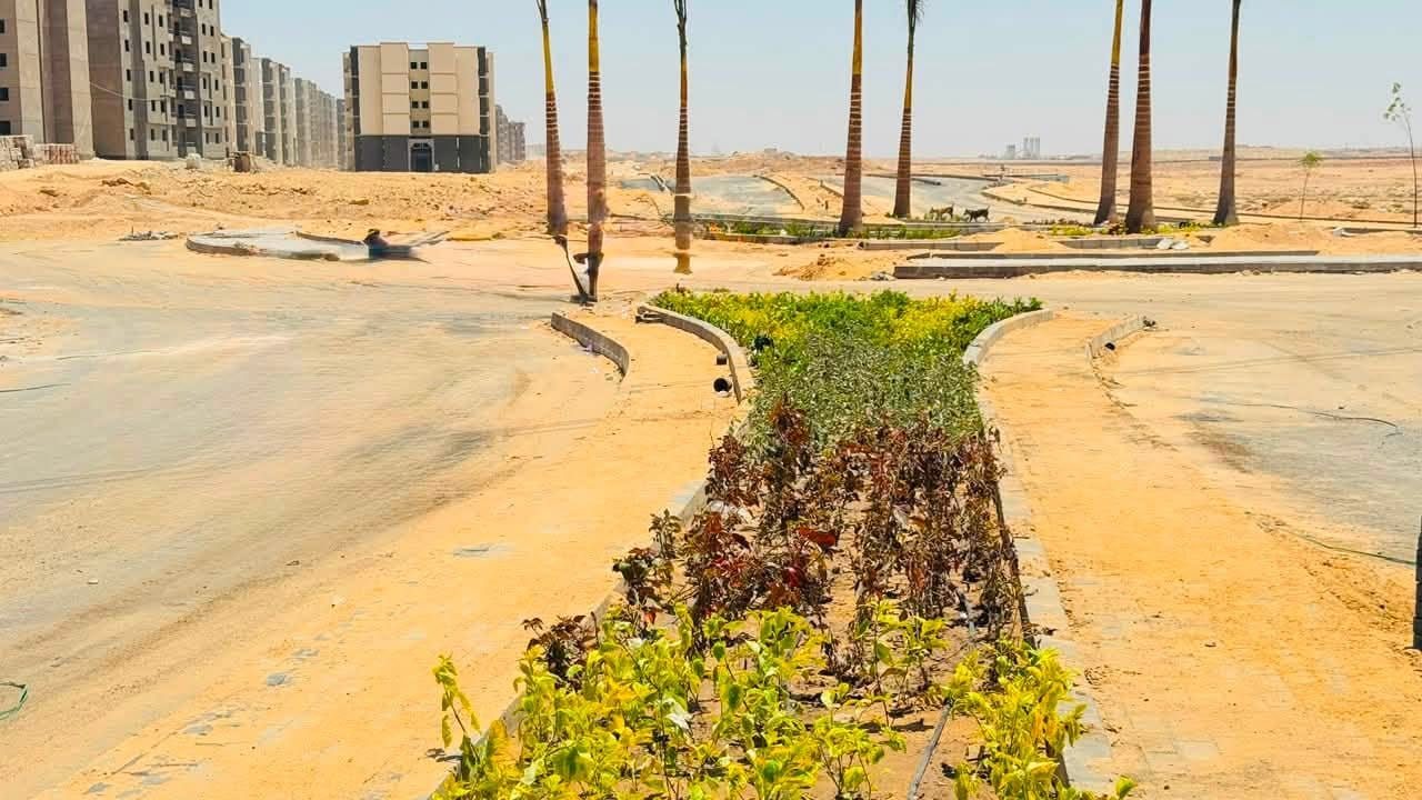 رئيس الجهاز يتابع الطرق والمرافق والزراعة حول «سكن لكل المصريين» والإسكان الأخضر بالحي 37 — صورة 2