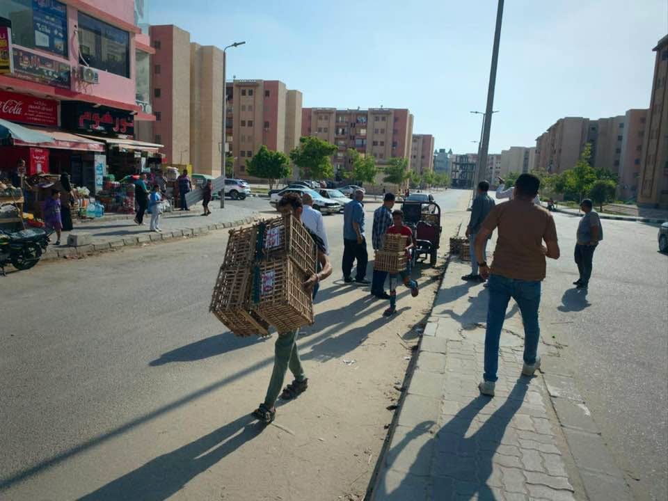 إزالة مبانٍ مخالفة على 8 أفدنة بجمعية أحمد عرابي ورفع إشغالات بالحرية والكرامة والمجد — صورة 4