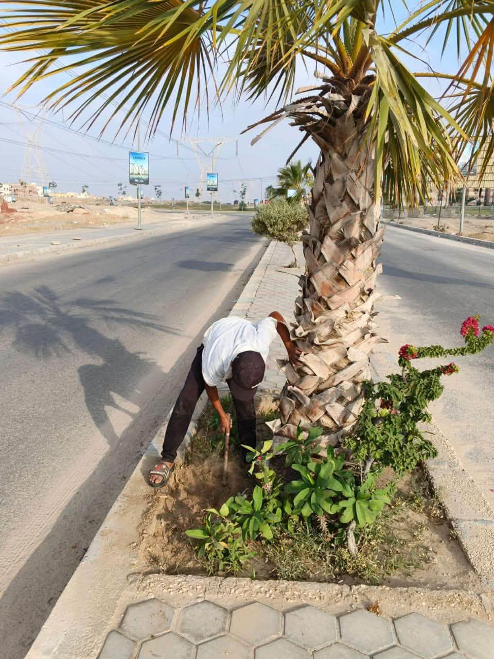 حملات نظافة في الكرامة والمجد وصيانة الزرع في سكن مصر والحيين 13 و14 — صورة 2