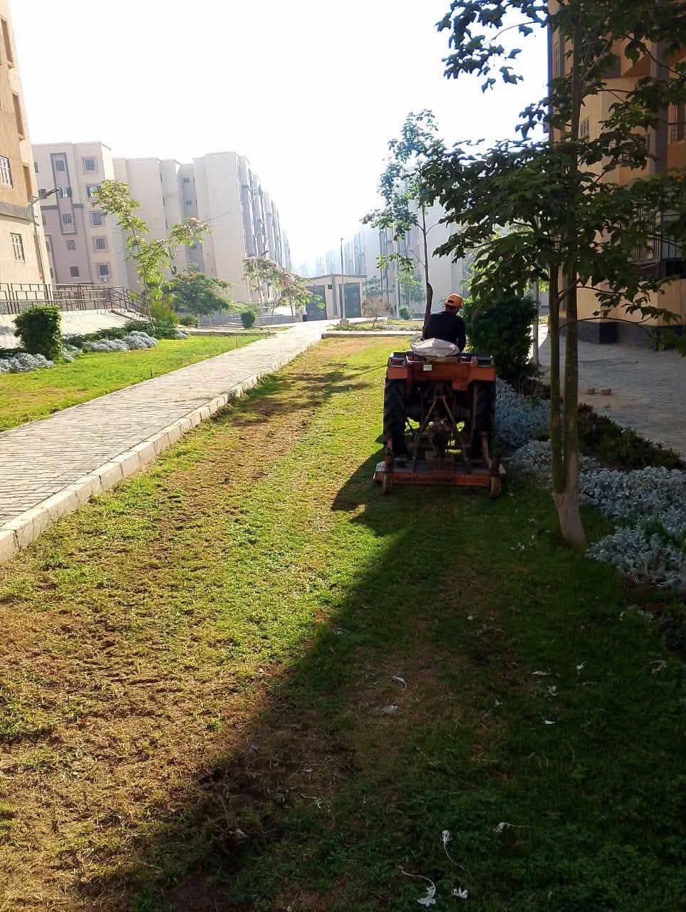 حملات نظافة في الكرامة والمجد وصيانة الزرع في سكن مصر والحيين 13 و14 — صورة 4