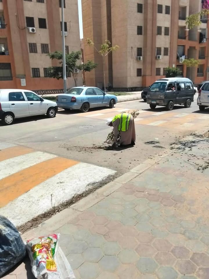 حملة نظافة مكثفة حول مدارس العبور الجديدة قبل بداية العام الدراسي — صورة 13