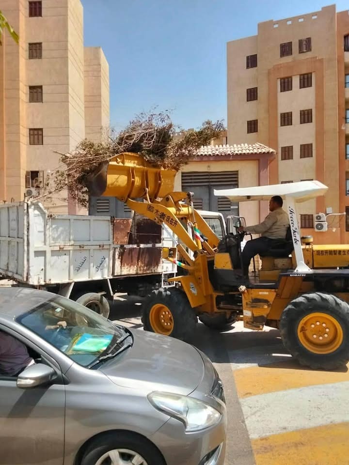 حملة نظافة مكثفة حول مدارس العبور الجديدة قبل بداية العام الدراسي — صورة 8