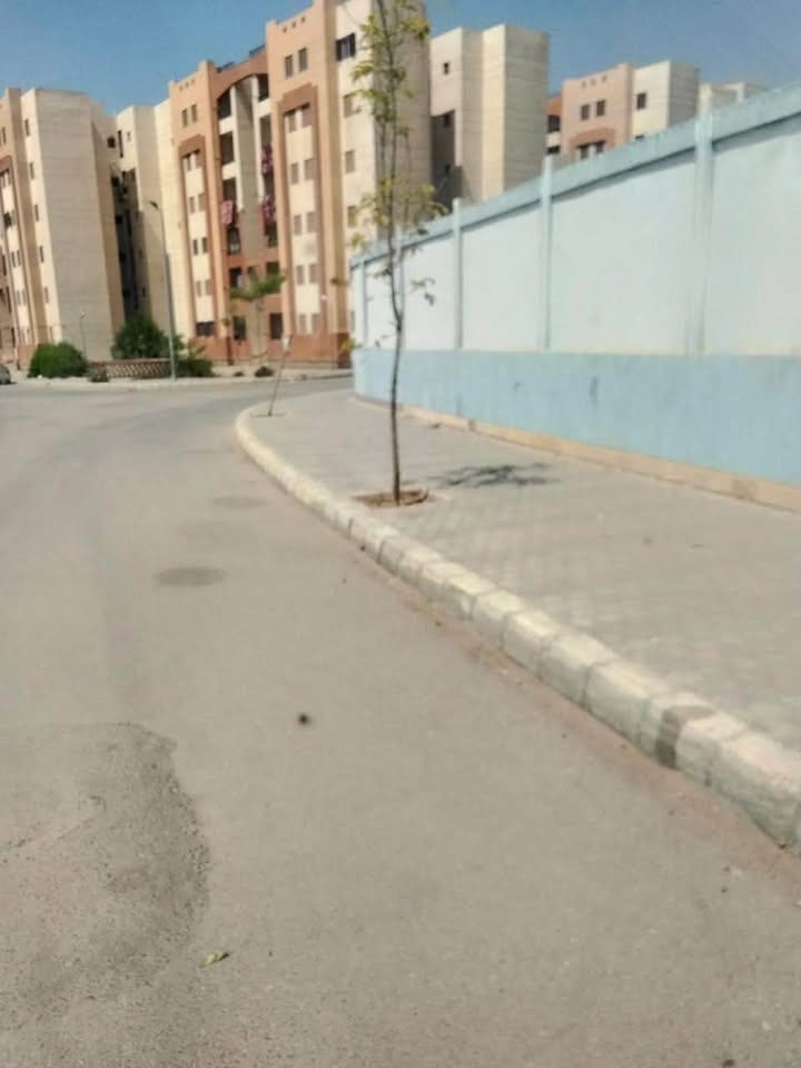 حملة نظافة مكثفة حول مدارس العبور الجديدة قبل بداية العام الدراسي — صورة 18