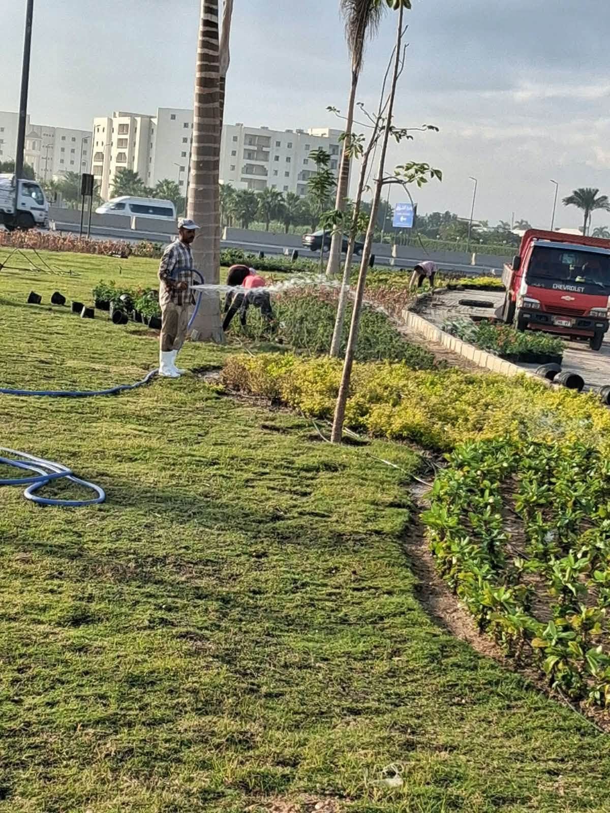 صيانة مرافق وزراعة ونظافة بأحياء العبور الجديدة: R4 والمجد والحي 14 و16 — صورة 3