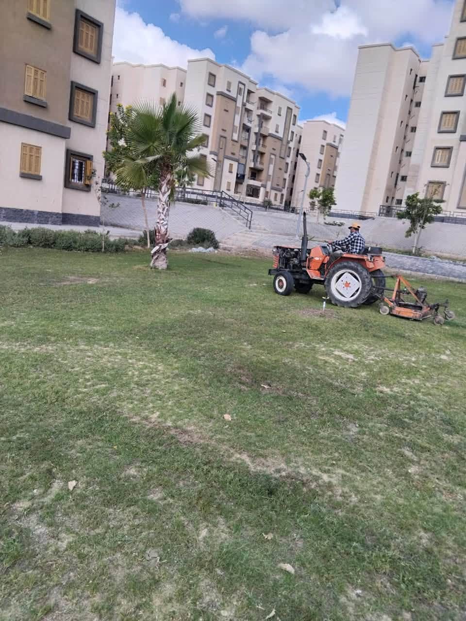صيانة مرافق وزراعة ونظافة بأحياء العبور الجديدة: R4 والمجد والحي 14 و16 — صورة 6