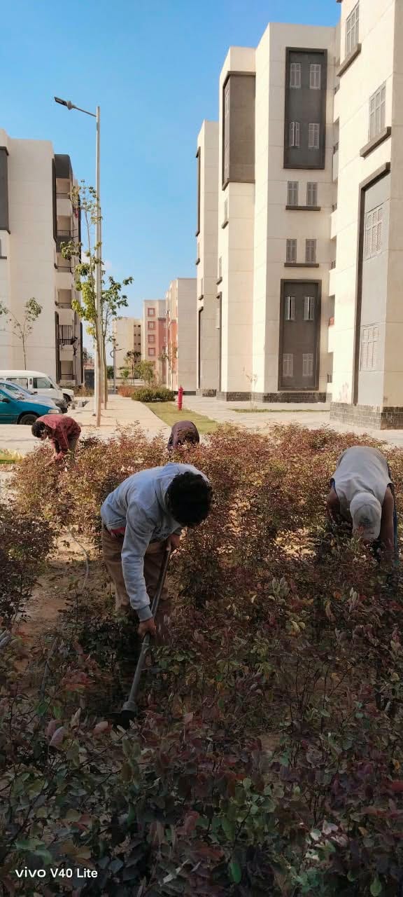 صيانة مرافق وزراعة ونظافة بأحياء العبور الجديدة: R4 والمجد والحي 14 و16 — صورة 4